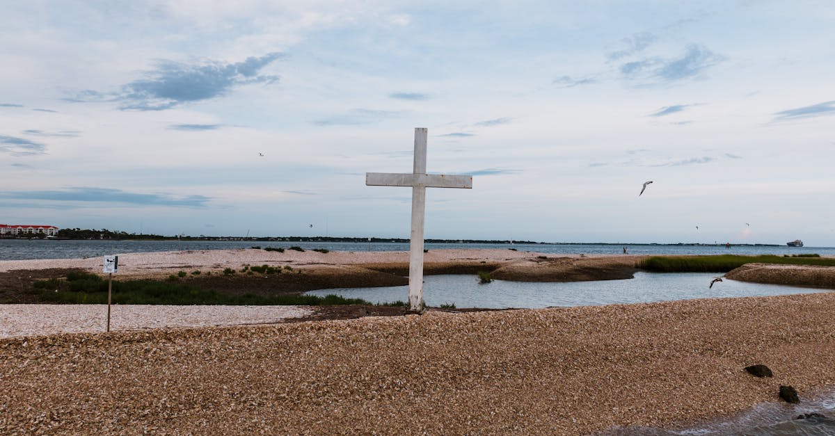 découvrez charleston, une ville emblématique des états-unis, célèbre pour son architecture historique, ses délicieuses cuisines du sud et son ambiance chaleureuse. explorez ses rues pavées, ses plantations pittoresques et plongez dans une riche culture américaine.