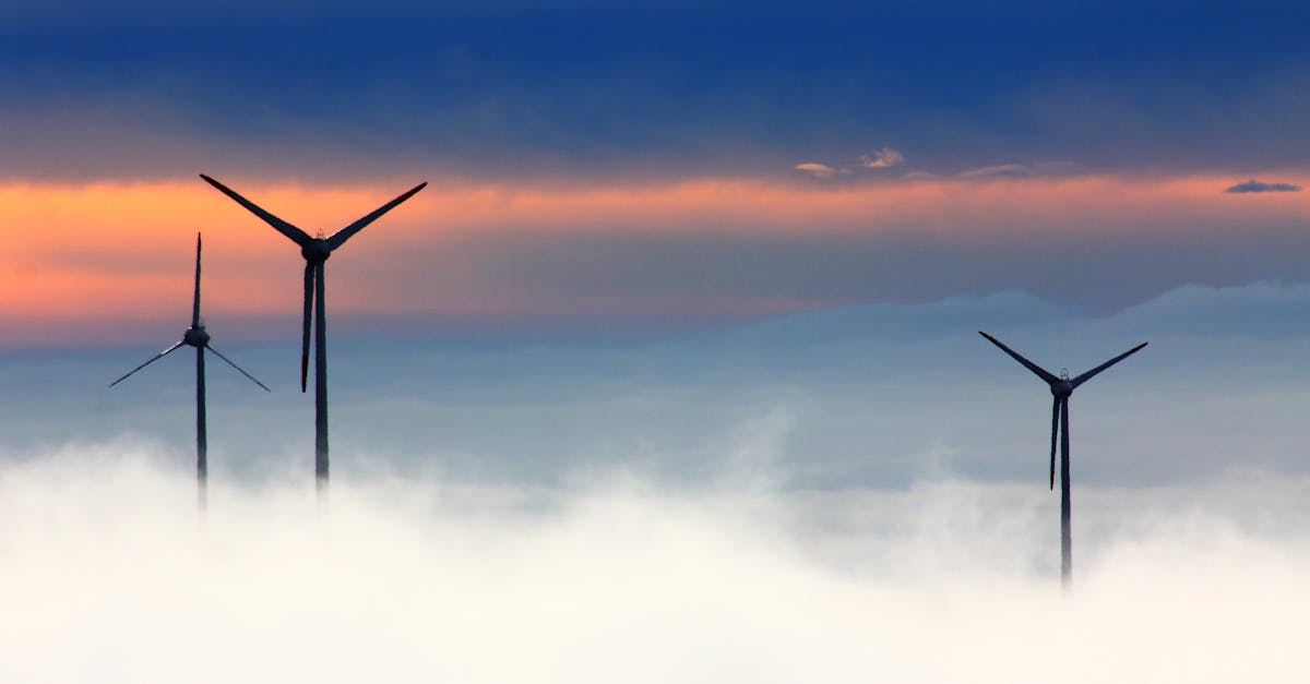 découvrez les opportunités d'investissement dans les technologies climatiques, une solution innovante pour lutter contre le changement climatique tout en générant des rendements financiers. explorez comment ces investissements peuvent transformer notre avenir durable.