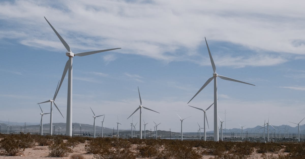 découvrez les opportunités d'investissement dans les technologies climatiques, secteur en pleine expansion visant à lutter contre le changement climatique tout en générant des rendements durables. explorez les innovations et les entreprises qui façonnent un avenir plus vert.