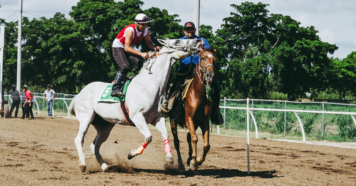 découvrez l'univers palpitant des courses de chevaux, où la vitesse et la compétition se rencontrent. suivez les événements, les chevaux, et les jockeys qui font vibrer les amateurs de sports équestres.