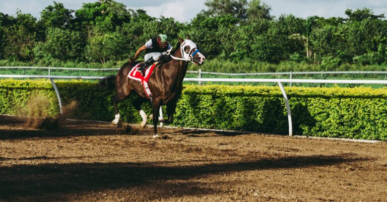 découvrez l'univers passionnant des courses de chevaux, où l'adrénaline et l'élégance se rencontrent. suivez les dernières actualités, analyses et astuces sur les compétitions équestres qui captivent les amateurs et les parieurs. plongez dans l'histoire, les chevaux de légende et les stratégies pour maximiser vos gains.