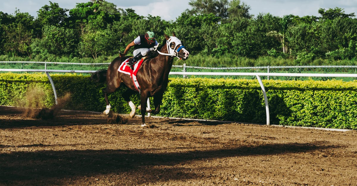 découvrez l'univers passionnant des courses de chevaux, où l'adrénaline et l'élégance se rencontrent. suivez les dernières actualités, analyses et astuces sur les compétitions équestres qui captivent les amateurs et les parieurs. plongez dans l'histoire, les chevaux de légende et les stratégies pour maximiser vos gains.