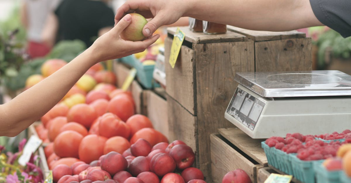 découvrez notre entreprise locale qui offre des produits et services de qualité, mettant en valeur le savoir-faire et la proximité. rejoignez-nous pour soutenir l'économie locale et bénéficier d'une expérience unique remplie d'authenticité.