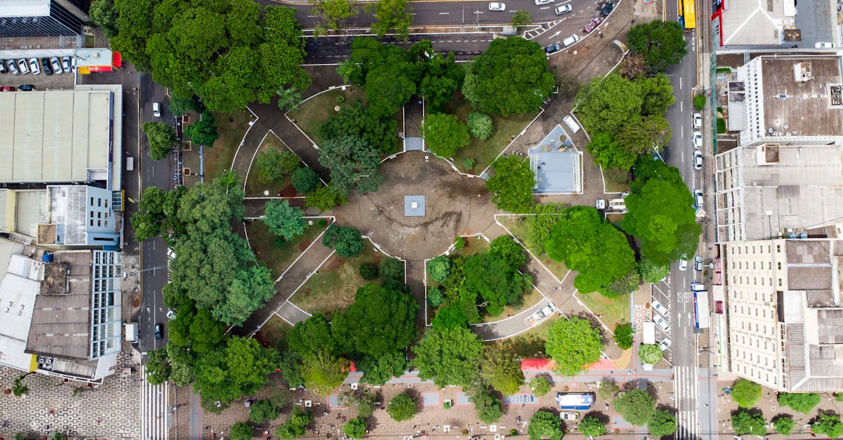 découvrez les techniques innovantes de revitalisation pour redonner vie à vos espaces, améliorer votre bien-être et restaurer l'harmonie dans votre environnement. transformez votre quotidien grâce à des solutions durables et inspirantes.