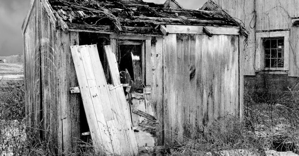 Le cabanon à sucre est de retour en activité