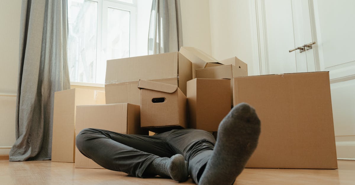 découvrez nos conseils et informations essentielles sur les accidents : causes, prévention et démarches à suivre en cas d'incident. informez-vous pour mieux vous protéger et agir rapidement.
